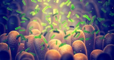 Científicos mexicanos descubren que microbiota intestinal reduce complicaciones en infecciones respiratorias