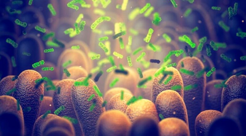 Científicos mexicanos descubren que microbiota intestinal reduce complicaciones en infecciones respiratorias