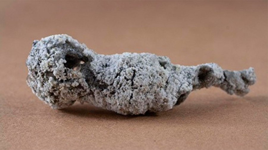 Nuevo descubrimiento: hallan un nuevo mineral de fósforo luego de que un rayo impactó en Florida
