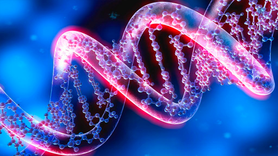 Se cumplen 70 años de la descripción de la estructura del ADN