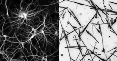 Crean redes de nanocables de plata que pueden funcionar como un cerebro humano