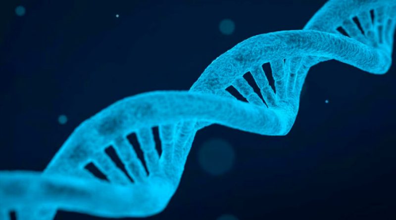 Se ha secuenciado el ADN de más de 10 mil humanos antiguos