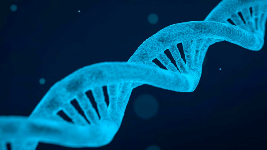 Se ha secuenciado el ADN de más de 10 mil humanos antiguos