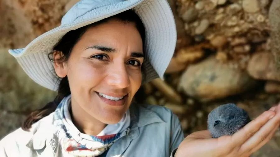 Yuliana Bedolla, la científica mexicana premiada por proteger a las ‘misteriosas’ aves nocturnas
