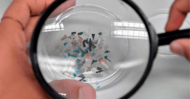 Detectan microplásticos en testículos y semen humano por primera vez