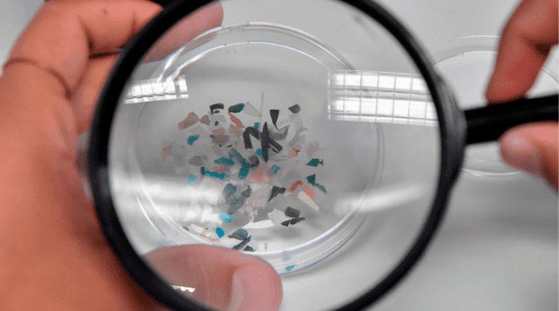 Detectan microplásticos en testículos y semen humano por primera vez
