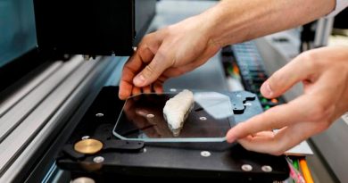 Crean el primer filete de pescado mediante impresión 3D