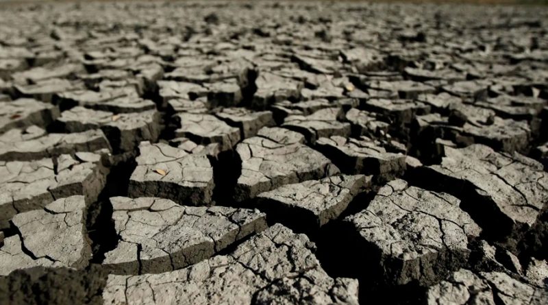 Investigadores españoles crean un ingenioso invento para evitar la sequía en el campo