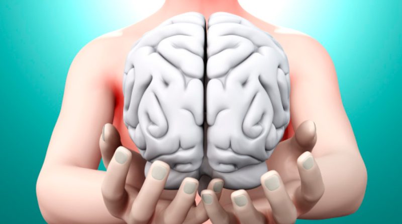 Las hormonas median la comunicación entre el cerebro y los huesos