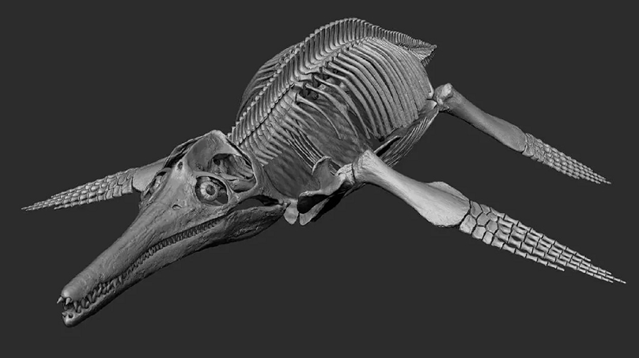 Estudian anatomía y comportamiento de pliosaurio mediante escáner 3D