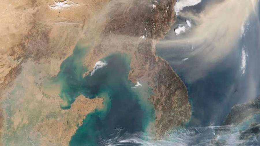 El polvo atmosférico ejerce un papel global en nutrir los océanos