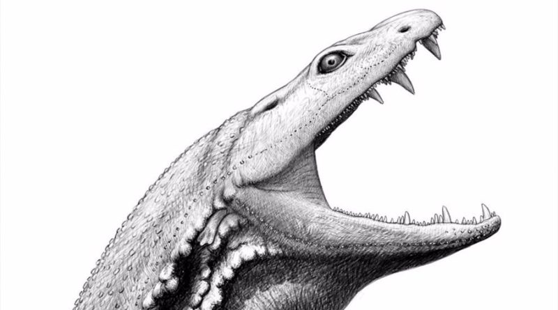 Reconstruido el rostro de un monstruo ancestral con fósiles aplastados