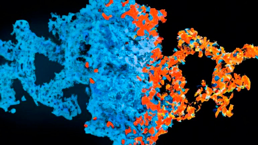 ¡No sólo sirve para fotomontajes! Científicos usan Inteligencia Artificial para crear nuevas proteínas