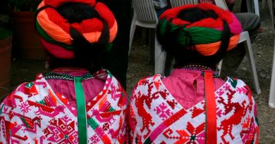 Las formas del plagio cultural de los saberes textiles tradicionales: un tema emergente de estudio