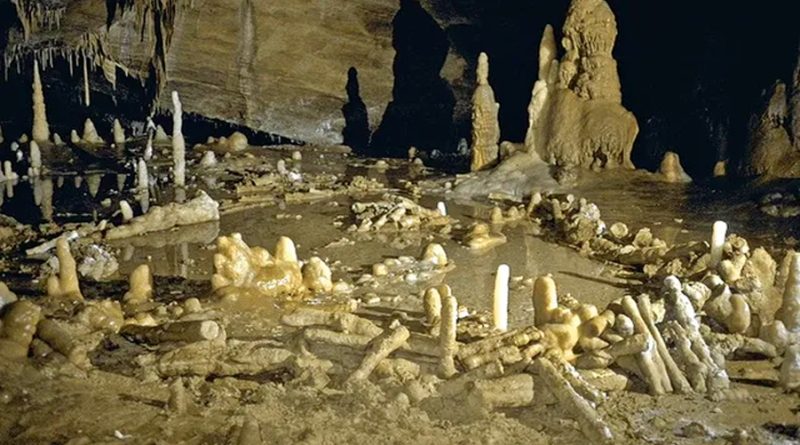 La construcción más antigua del mundo fue hecha por neandertales hace 176,000 años