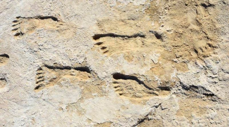 Huellas humanas de 300,000 años descubiertas en Alemania