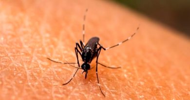 Investigadores descubren un método efectivo para alejar a los mosquitos