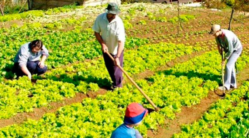Sostenibilidad y agricultura, reconocimiento al agricultor