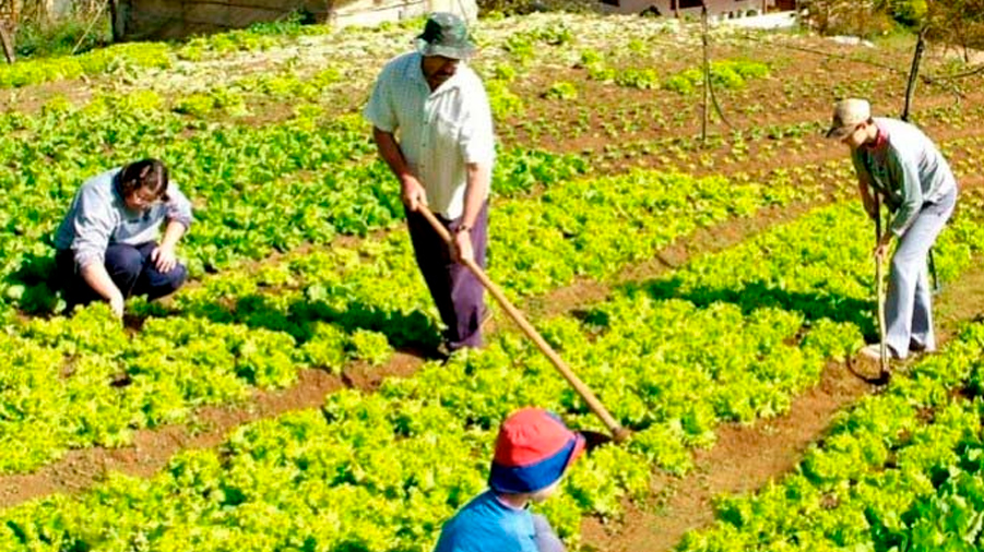 Sostenibilidad y agricultura, reconocimiento al agricultor