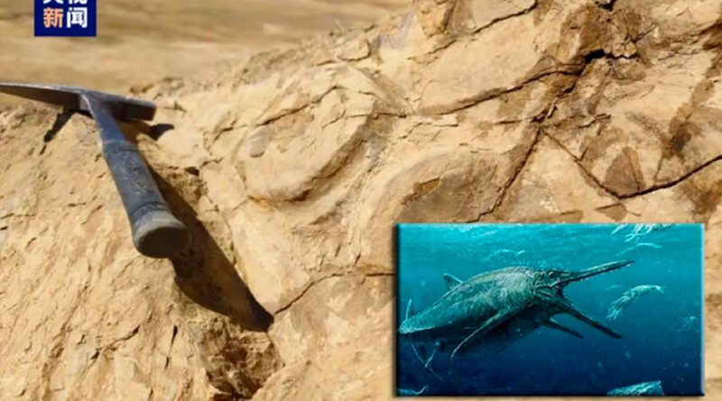 Hallan restos de dinosaurio marino en el Himalaya por segunda vez desde los años 60