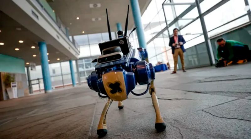 Un perro-robot con inteligencia artificial podría ser un apoyo para invidentes