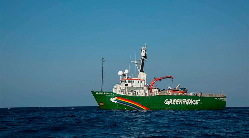 Greenpeace México y científicos de la UV descubren arrecifes de alto valor ambiental en el Golfo de México
