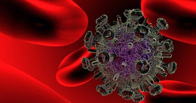 Aumentan las posibilidades de eliminar la infección por VIH