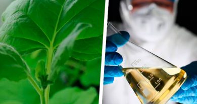 Científicos logran crear combustible sintético imitando el proceso de la fotosíntesis