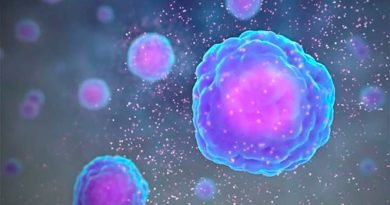 Hallan una molécula que ayuda a limpiar las células 'zombie' tras un tratamiento de cáncer