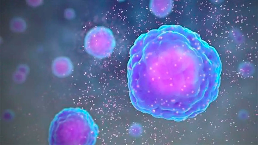 Hallan una molécula que ayuda a limpiar las células 'zombie' tras un tratamiento de cáncer