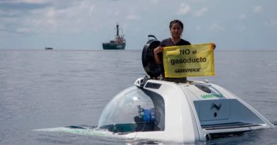 Greenpeace pide proteger arrecifes en el Golfo de México ante gasoducto