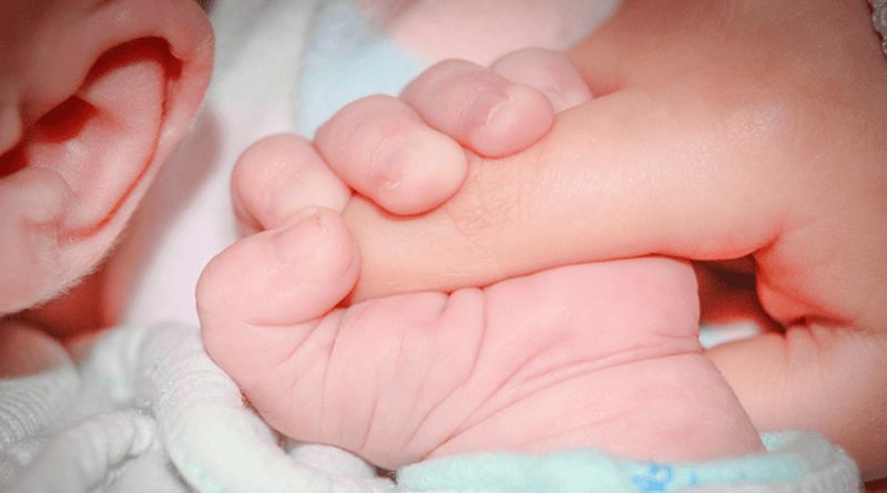 Crean placenta artificial para salvar la vida de los bebes que nacen prematuramente