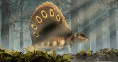 Así eran las temibles bestias que dominaban el mundo antes de los dinosaurios