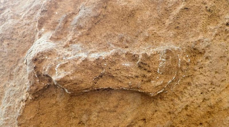 Identifican en Sudáfrica la huella más antigua de un Homo sapiens: 153 mil años