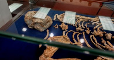 Descubren las tumbas más antiguas de los homínidos en Sudáfrica