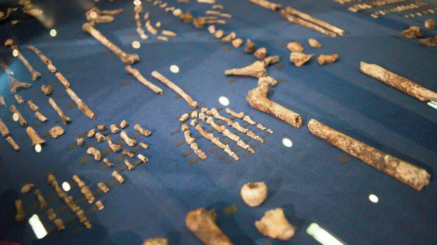 Extintos homínidos enterraban a sus muertos y tallaban símbolos 100,000 años antes que el homo sapiens