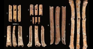 Flautas de hueso de hace 12 mil años excavadas en Israel