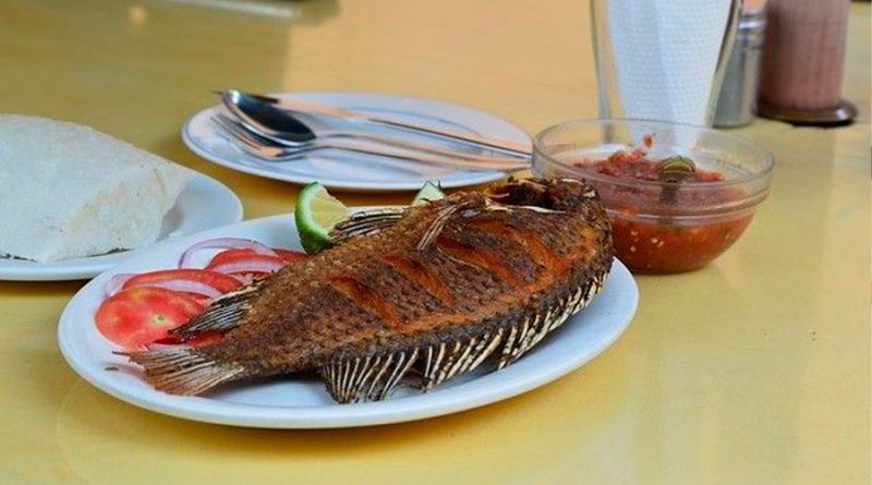 Comamos pescado: la tilapia es una opción ideal