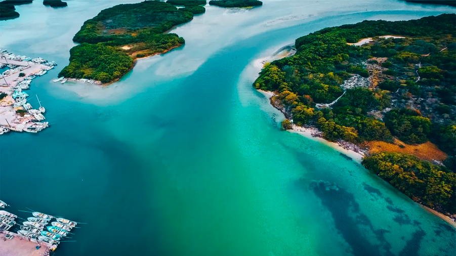 Caribe mexicano amenazado, como nunca, por el cambio climático