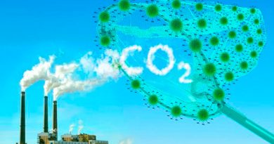 Desarrollan materiales de bajo coste capaces de capturar CO2 frente al efecto invernadero