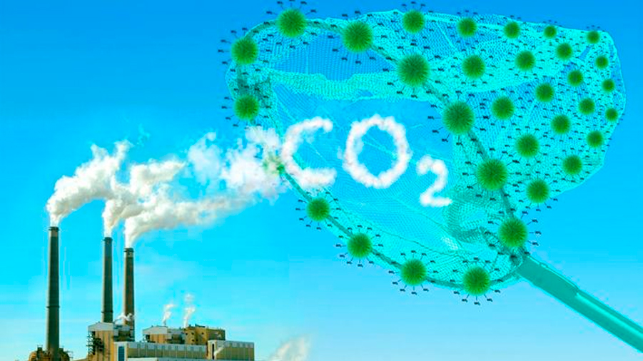 Desarrollan materiales de bajo coste capaces de capturar CO2 frente al efecto invernadero