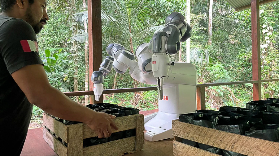 Este robot planta más de 100 árboles cada día
