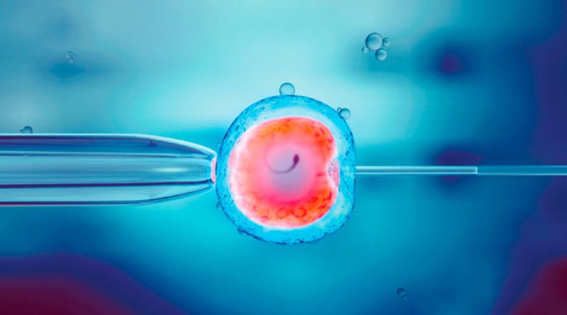 Científicos crean embriones humanos sintéticos con células madre sin óvulos ni esperma