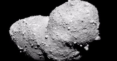 Cristales de sal avalan que el agua de la Tierra llegó en asteroides