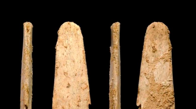 Los neandertales también fabricaron herramientas de hueso