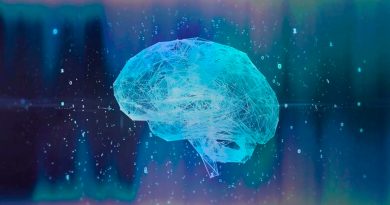 Un estudio del Proyecto Cerebro Humano ofrece información sobre la organización de los neurorreceptores