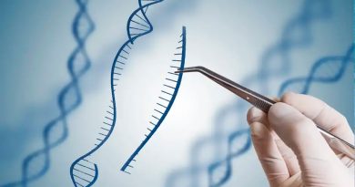 Hackeo al código genético: así planean dotar a las proteínas con 'poderes'