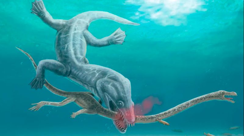 Descubren reptiles marinos de cuello largo que fueron decapitados por depredadores en la Era de los dinosaurios