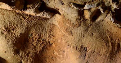 Grabados neandertales de 57 mil años hallados en una cueva francesa