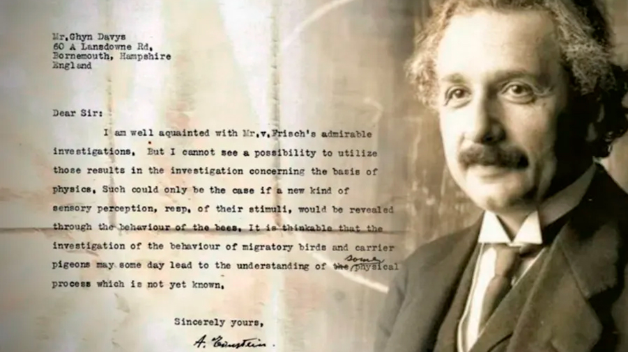 Una carta perdida revela que Albert Einstein predijo la existencia de los supersentidos animales